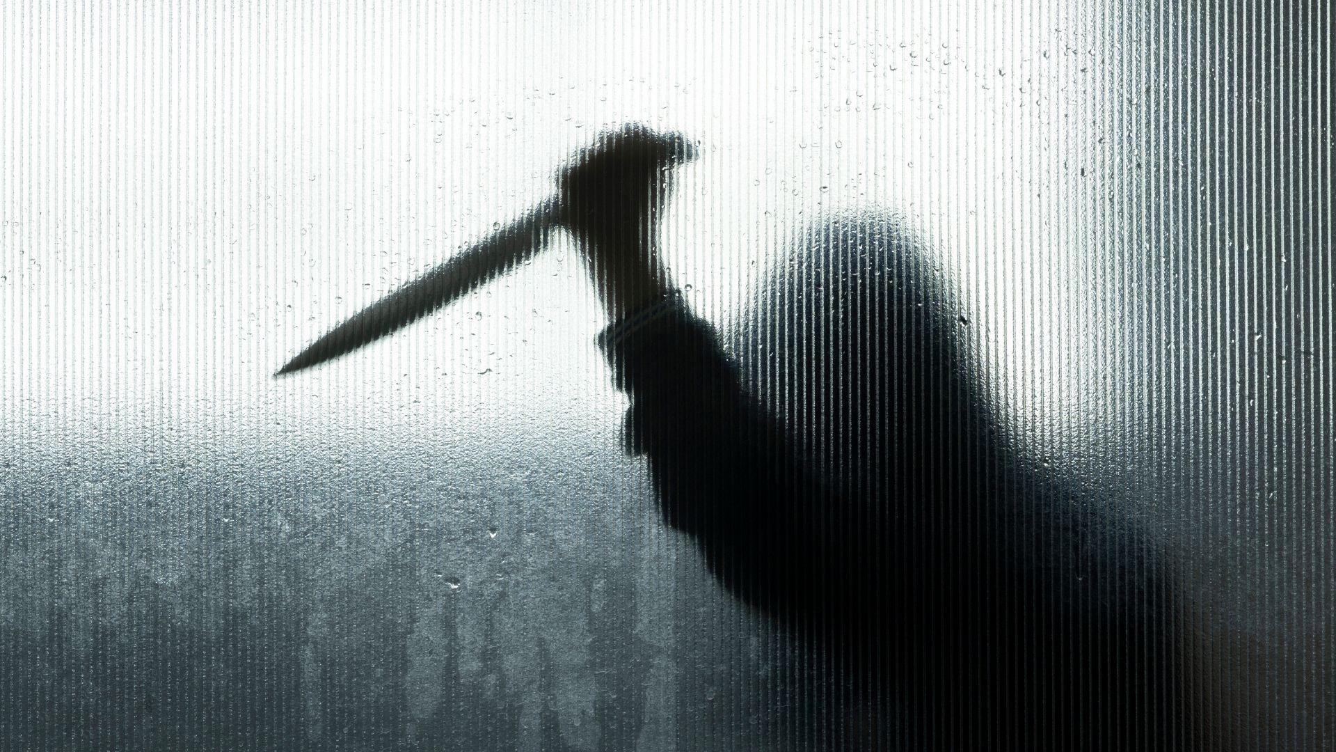 Kentucky Father Vows Justice After 6 Year-Old Son’s Killer Walks Free Early