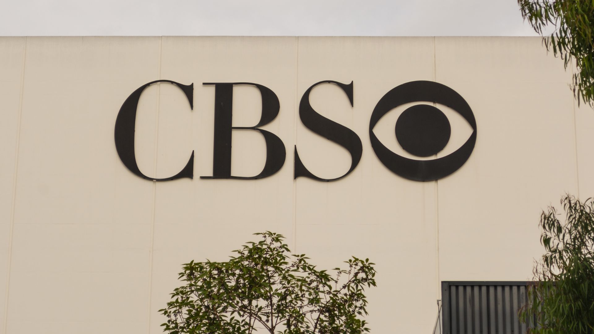 CBS Cuts Feed When Anti-ICE Protestor Confuses Reporter for Fox News