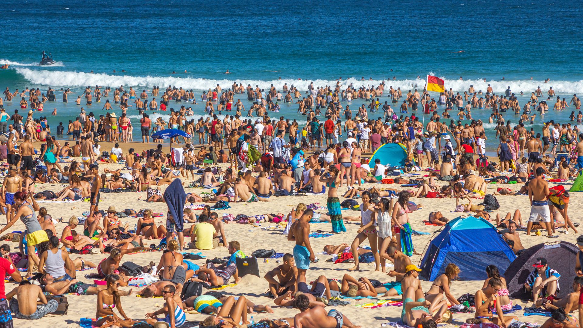 Hero Bystander Tackles Terror Gunman at Sydney Hanukkah Event